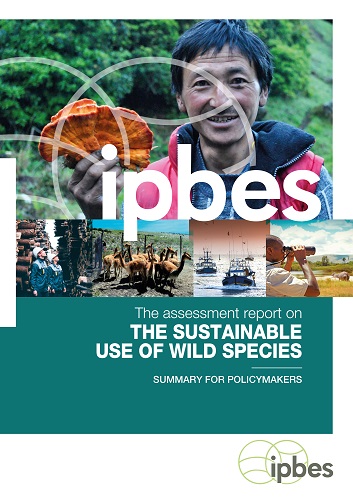 Cover of IPBES Summary 2022